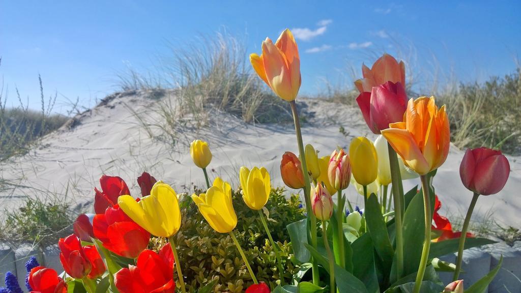 Ostsee Ferienappartements Dierhagen-Strand Klein & Fein المظهر الخارجي الصورة